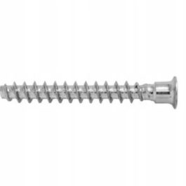 AMIX Konfirmat meblowy 6,4×50 100 szt