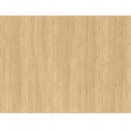 Zaślepka samoprzylepna 20mm brzoza F003 FOLDECOR