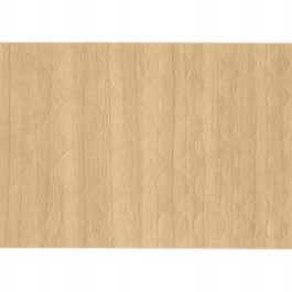 Zaślepka samoprzylepna MIX rozmiarów brzoza F003 FOLDECOR