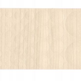 Zaślepka samoprzylepna MIX rozmiarów brzoza lund F004 FOLDECOR